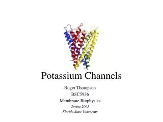 potassium channels