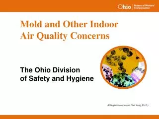 Mold and Other Indoor Air Quality Concerns