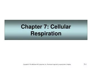 Chapter 7: Cellular Respiration