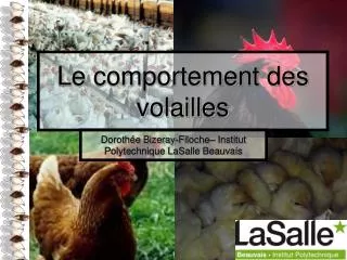 Le comportement des volailles