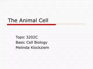 The Animal Cell