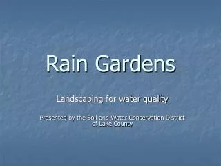 Rain Gardens